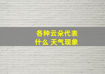 各种云朵代表什么 天气现象